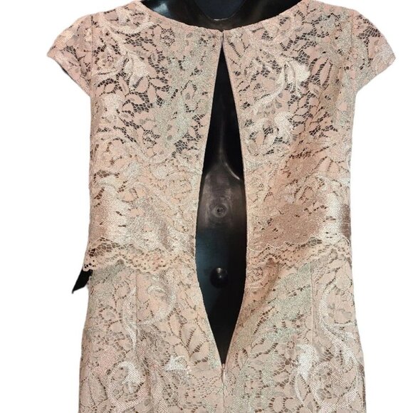 NWT Adrianna Papell Dusty Rose Embroidered Lace Popover Dress Size 2 NEW - Picture 7 of 15